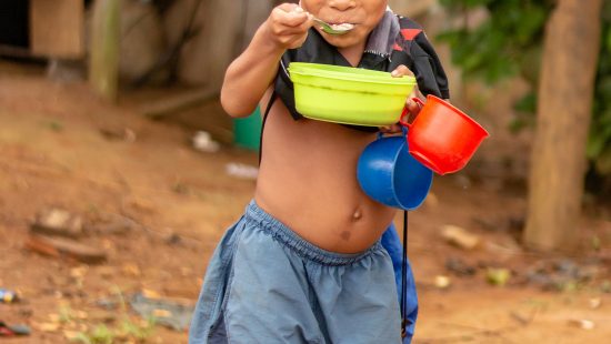 Objetivo 2: Hambre cero