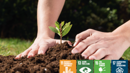 Gran sembraton nacional