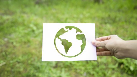 Objetivo 15: Vida de ecosistemas terrestres