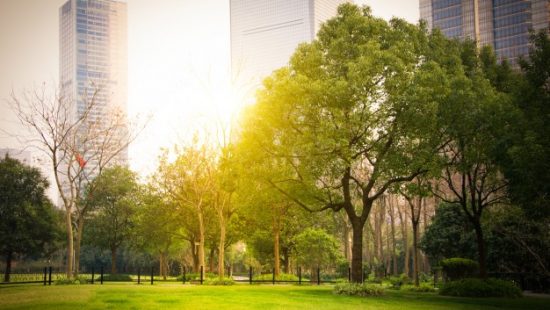 Objetivo 11: Ciudades y comunidades sostenibles