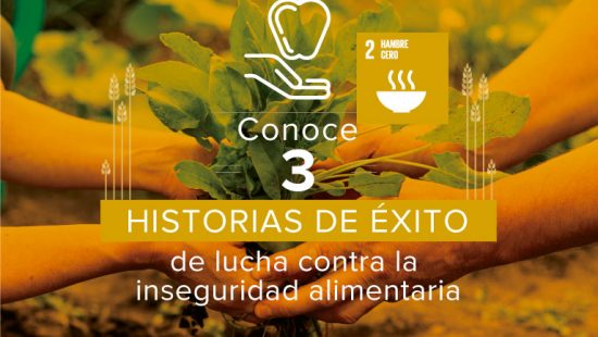 ODS 2 – Historias de éxito de lucha contra la inseguridad alimentaria