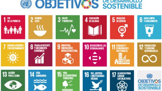 ¿Qué son los Objetivos de Desarrollo Sostenible?