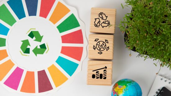 Curso gratuito – El manual de los ODS